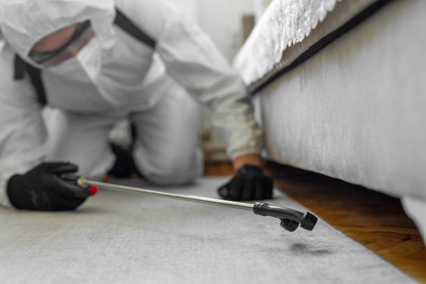 Professional Bed Bug Control technician working in Tipton County County, IN